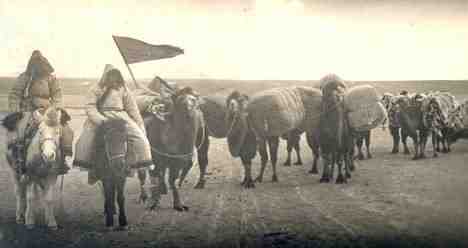 中国古代骑骆驼的游牧民族188金宝搏网服务网址